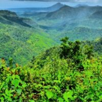 Menu CHAMAREL végétarien